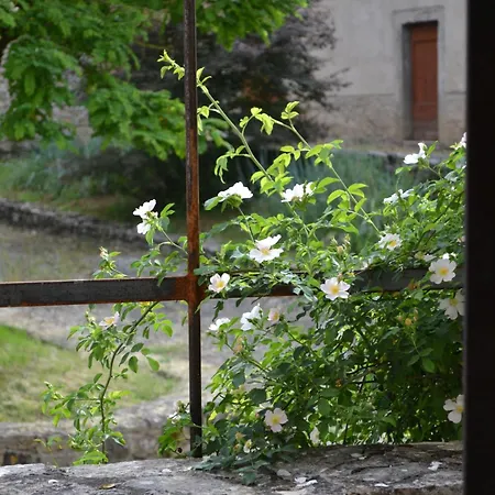 Dans Les Gorges De L'aveyron 別荘 Varen